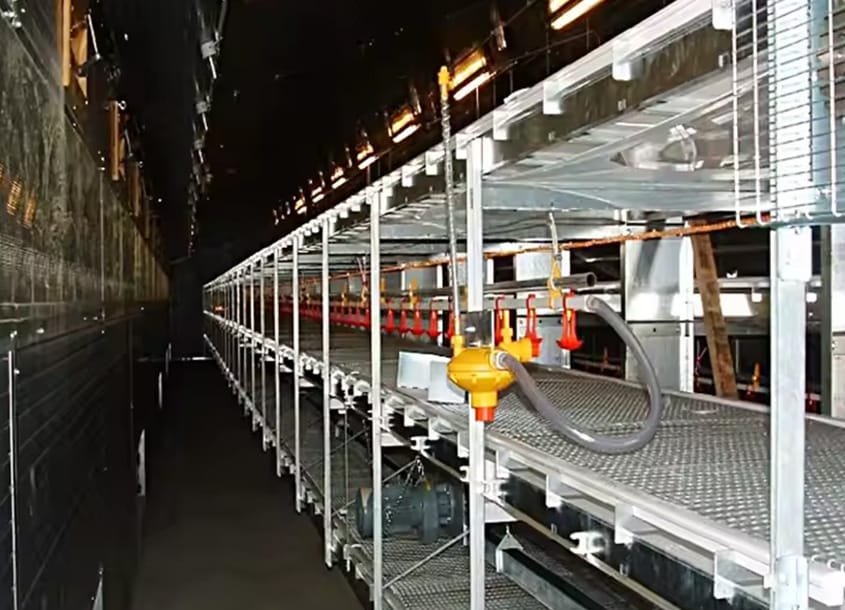 未标题-1_0001_steel-chicken-house-9 (2)