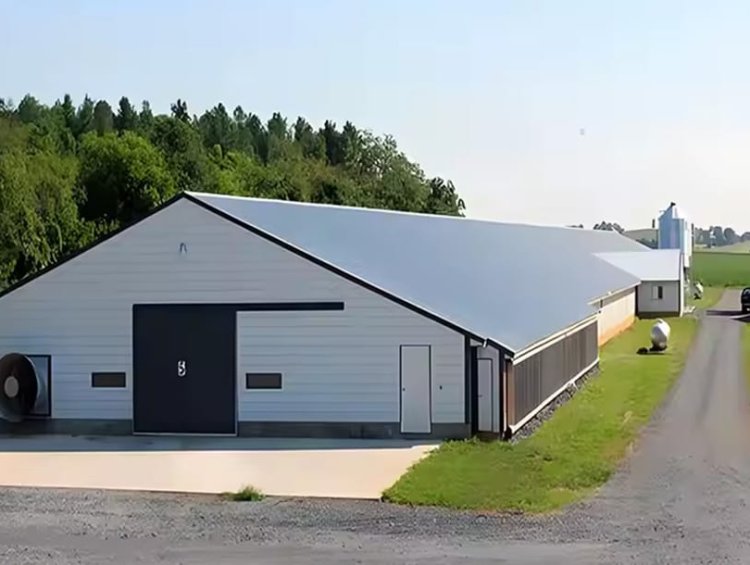 50 Years Service Life Prefab Steel Structure Poultry Farm Shed | Chicken House With Feed Silo 