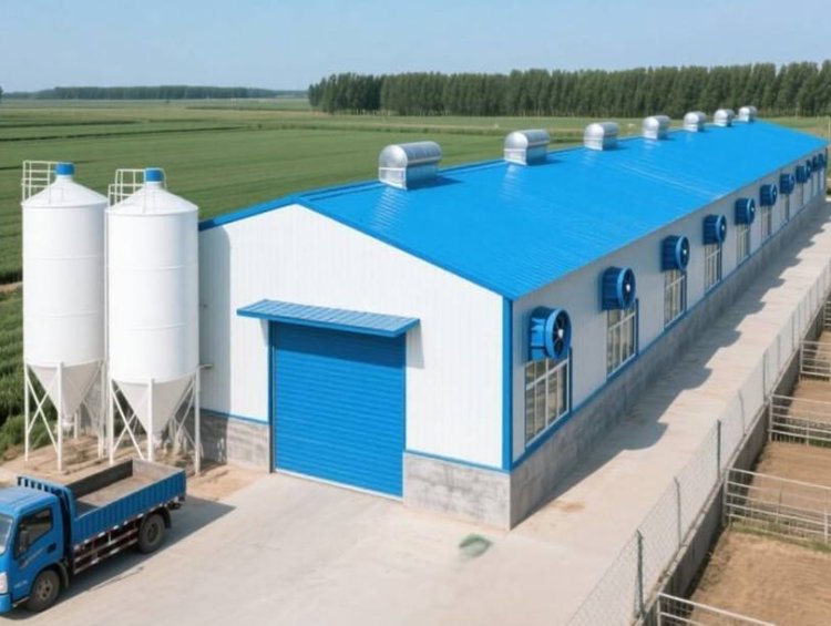 Poultry Farm Steel Structure Shed Hot Sale Middle East Africa Southeast Asia