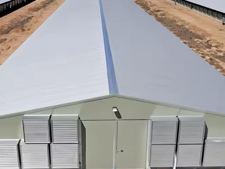 Prefab Steel Poultry Chicken House Livestock Husbandary Farm Shed