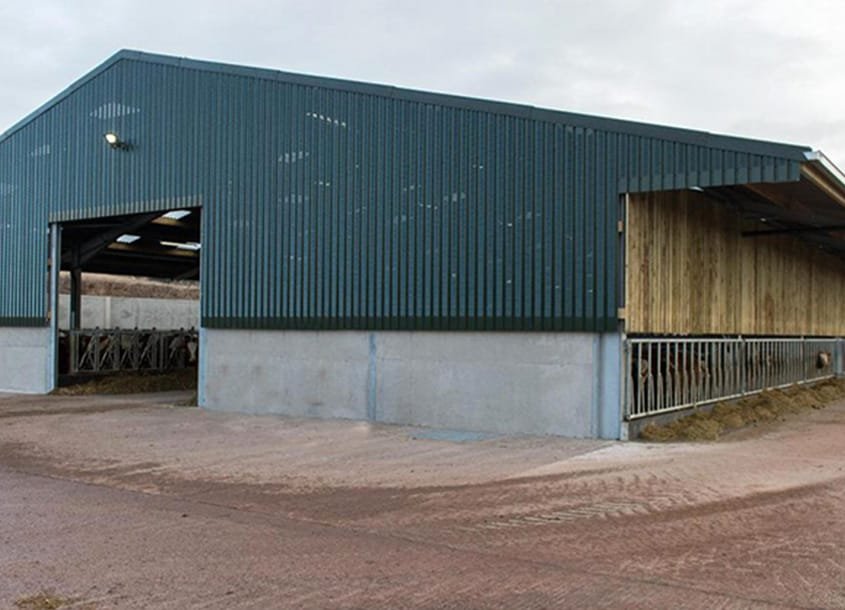 未标题-1_0001_steel-cow-shed-dairy-farm-1 (2)