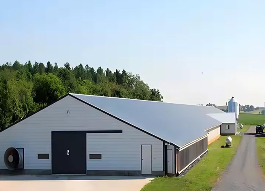 未标题-1_0000_steel-chicken-house-11 (1)