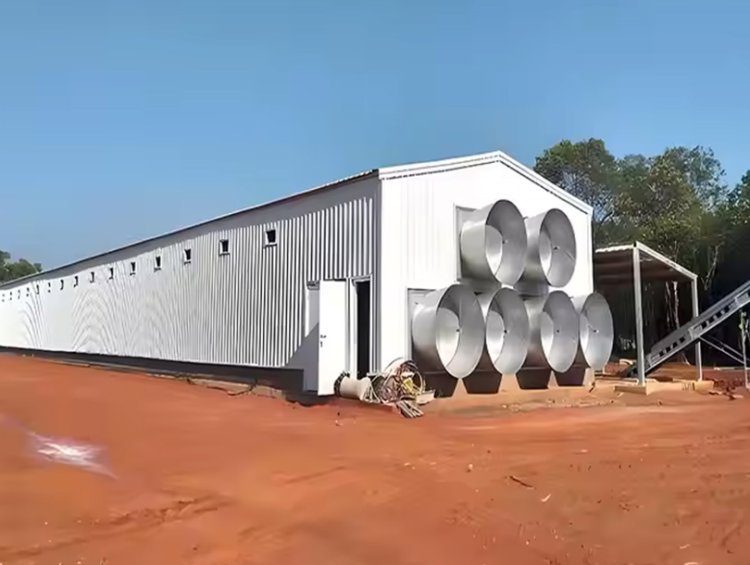 Steel Structure Poultry Farm Shed With Negative Pressure Fan Hot Sale Middle East Africa
