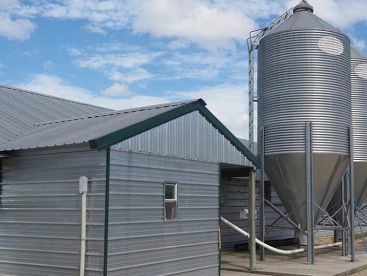 Prefab Steel Structure Chicken House | Galvanized Poultry Farm With Feed Silo Hot Sale Middle East Africa