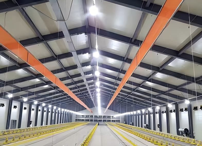 Steel Poultry Shed